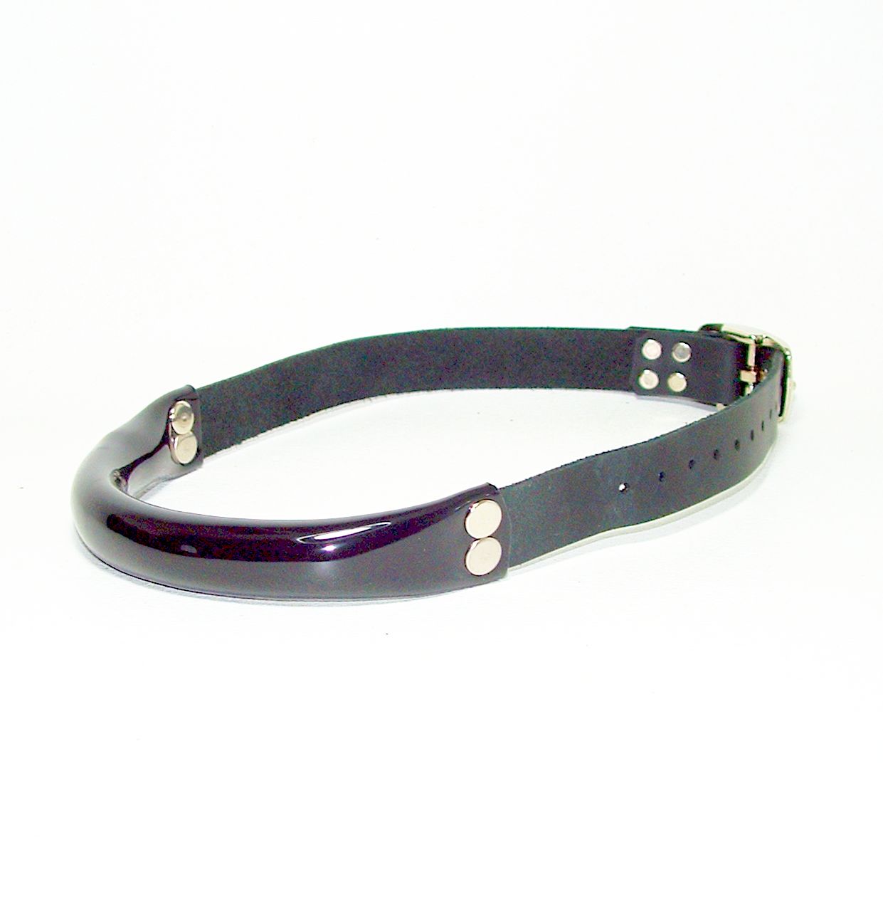 Leather and Vinyl Bit Gag
