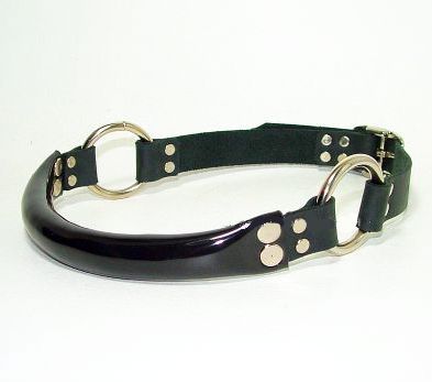 Leather and Vinyl Bit Gag With Rings