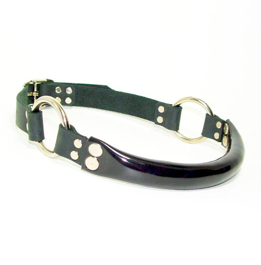Leather and Vinyl Bit Gag With Rings