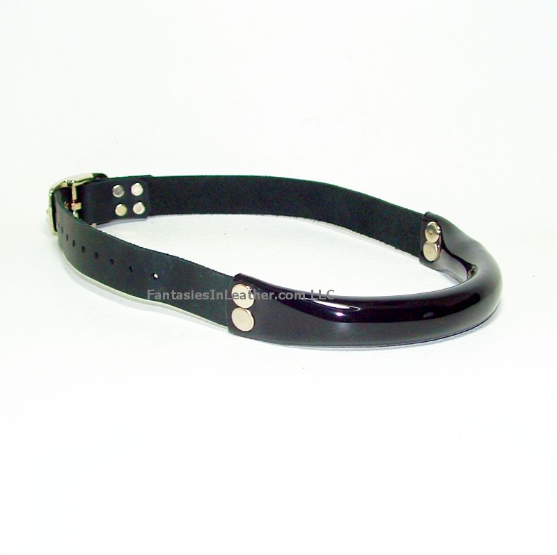 Leather and Vinyl Bit Gag